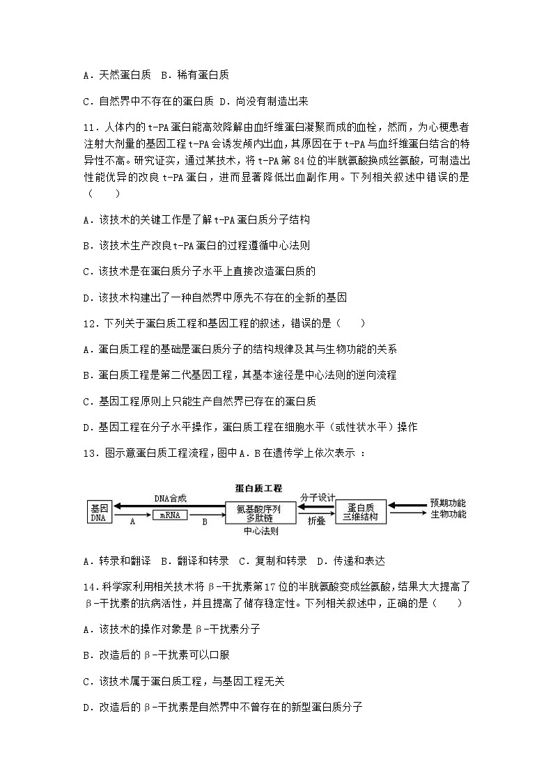 北师大版高中生物选择性必修3第五节蛋白质工程作业含答案2第3页