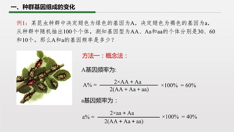 6.3.1 种群基因组成的变化课件PPT第8页