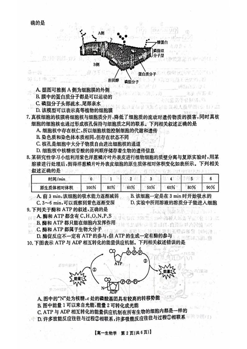 2023忻州高一下学期开学考试生物试题PDF版含答案02
