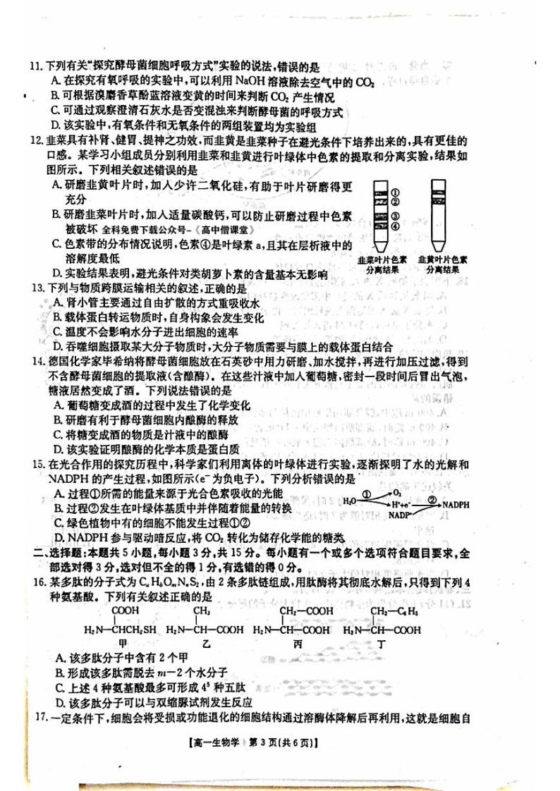 2023忻州高一下学期开学考试生物试题PDF版含答案03