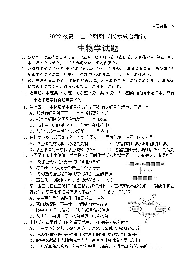 山东省日照市2022-2023学年高一上学期期末考试生物试题无答案第1页