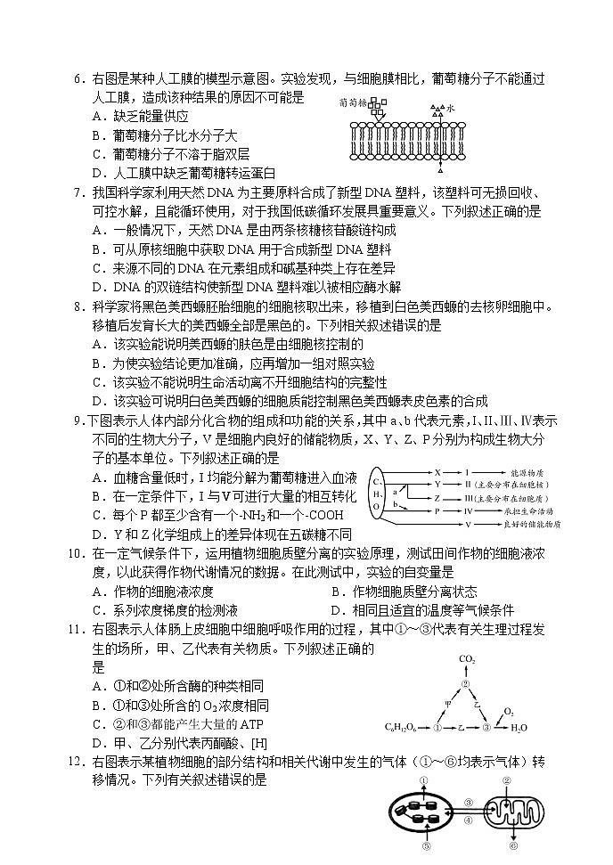 山东省日照市2022-2023学年高一上学期期末考试生物试题无答案第2页