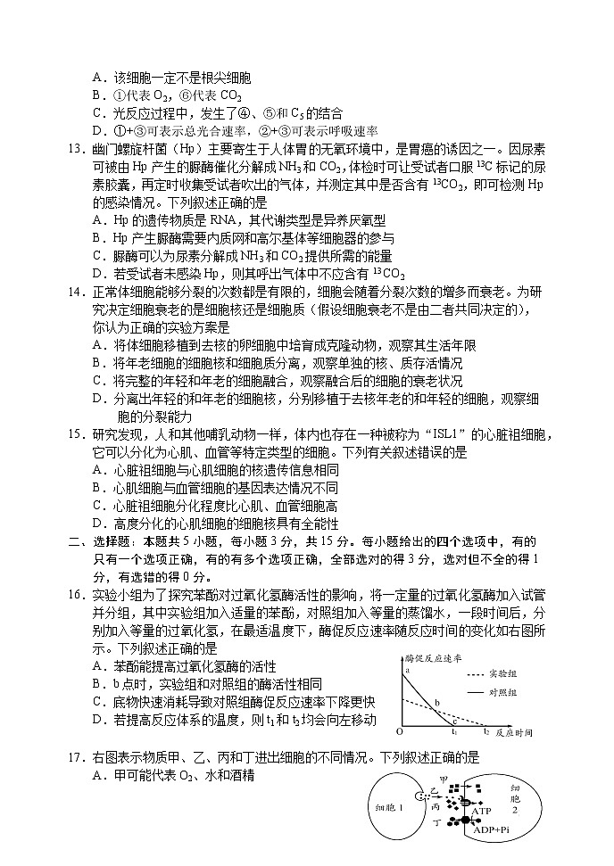 山东省日照市2022-2023学年高一上学期期末考试生物试题无答案第3页