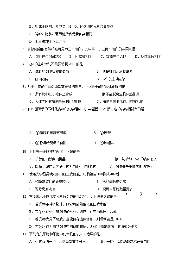 2022涼山州西昌高一上學(xué)期期末檢測(cè)生物試題含答案第2頁(yè)