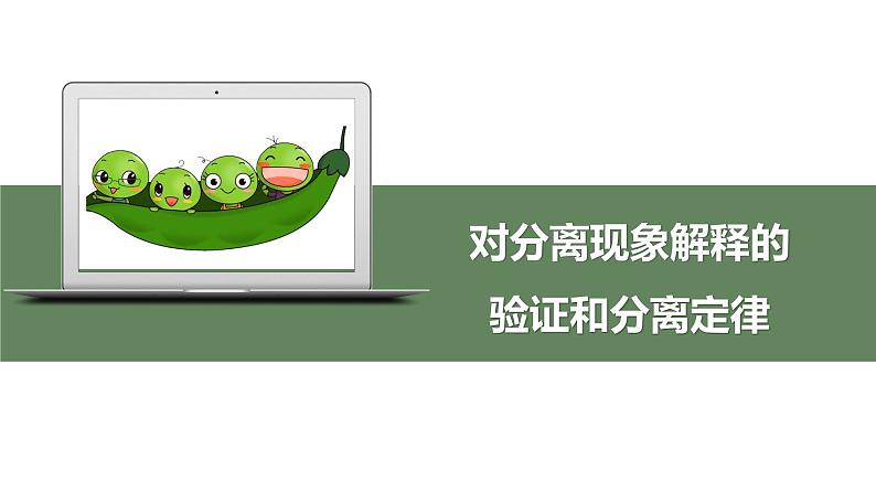 1.1.2 对分离现象解释的验证和分离定律课件PPT第1页
