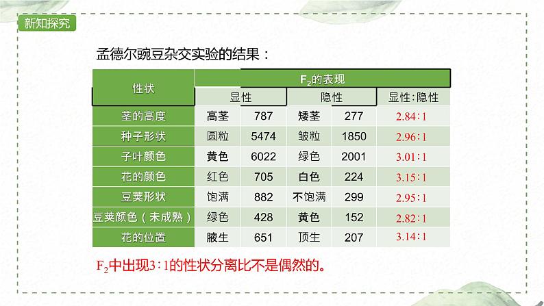 1.1.2 对分离现象解释的验证和分离定律课件PPT第4页