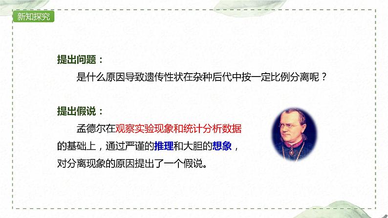 1.1.2 对分离现象解释的验证和分离定律课件PPT第5页