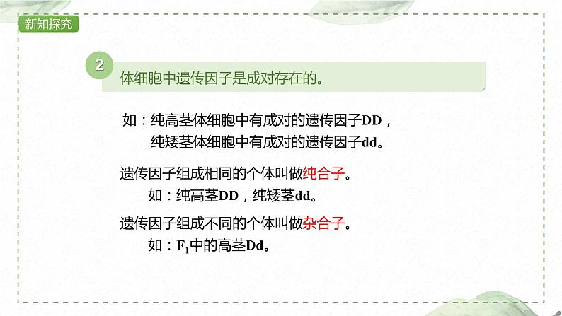 1.1.2 对分离现象解释的验证和分离定律课件PPT第7页