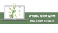 高中生物人教版 (2019)必修2《遺傳與進(jìn)化》第2節(jié) 孟德爾的豌豆雜交實(shí)驗(yàn)（二）教課內(nèi)容ppt課件