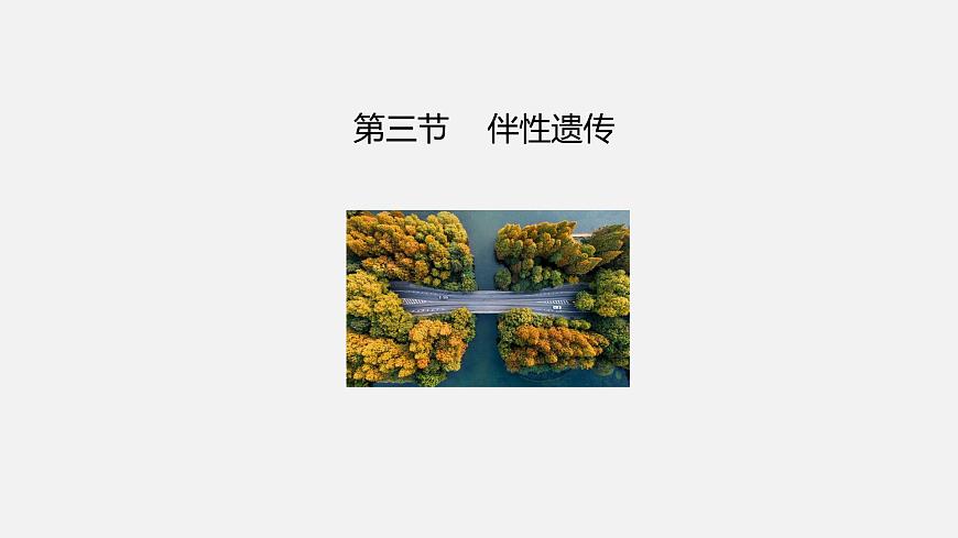 第三節(jié) 伴性遺傳課件PPT第2頁