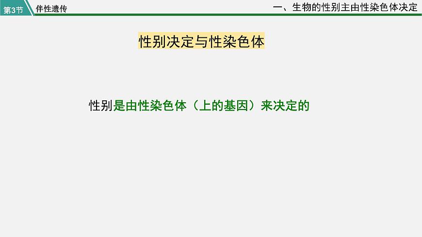 第三節(jié) 伴性遺傳課件PPT第6頁