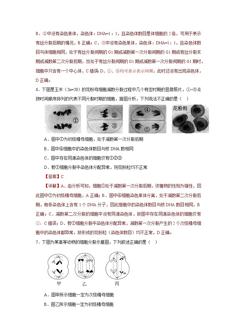 第一节 减数分裂和受精作用(解析版)第3页