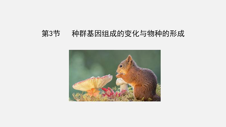 第三节 种群基因组成的变化与物种的形成课件PPT01
