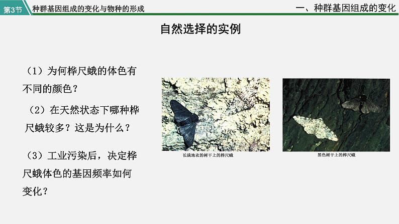 第三节 种群基因组成的变化与物种的形成课件PPT05