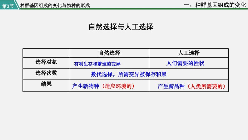 第三节 种群基因组成的变化与物种的形成课件PPT06