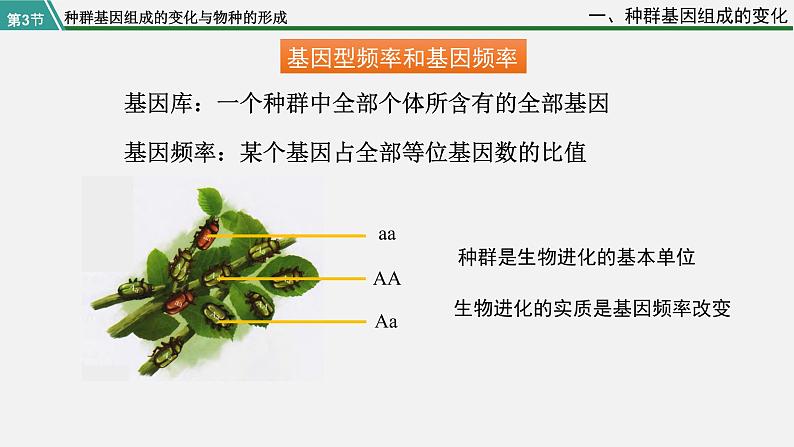 第三节 种群基因组成的变化与物种的形成课件PPT08