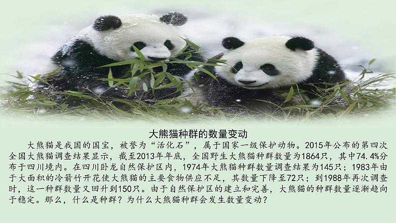 第1节 种群的数量特征课件PPT第2页