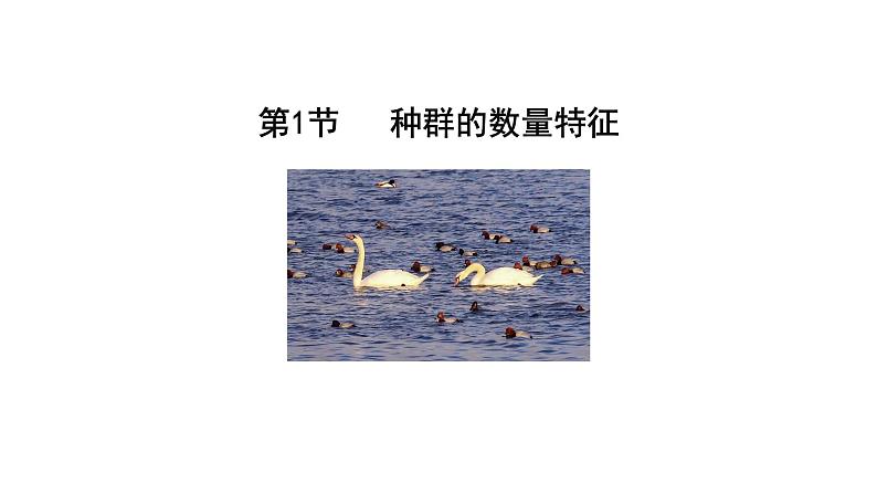 第1节 种群的数量特征课件PPT第3页
