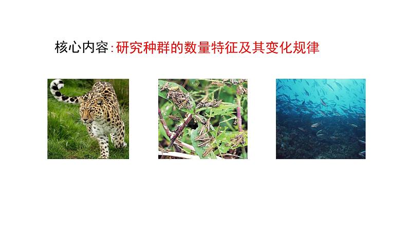 第1节 种群的数量特征课件PPT第7页