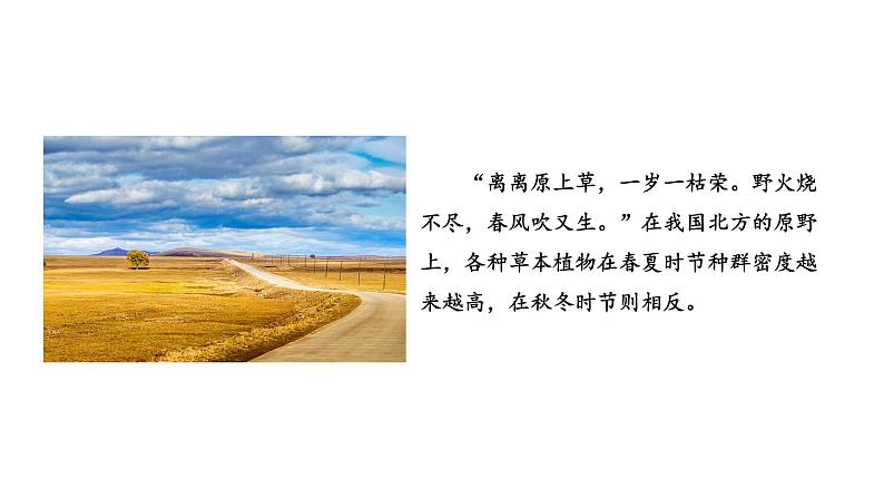 第3节 影响种群数量变化的因素课件PPT第1页