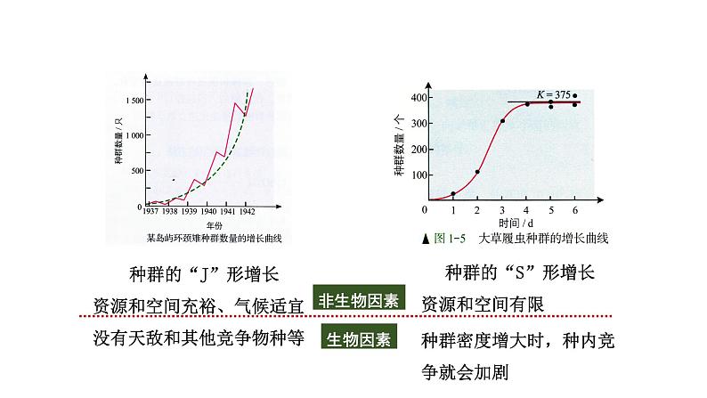 第3节 影响种群数量变化的因素课件PPT第4页