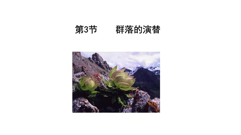 第3节 群落的演替课件PPT第2页