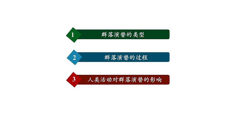 第3节 群落的演替课件PPT第3页