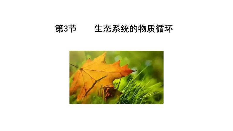 第3节 生态系统的物质循环课件PPT第2页