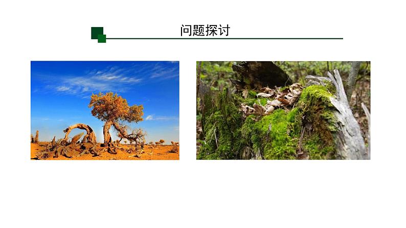 第3节 生态系统的物质循环课件PPT第4页
