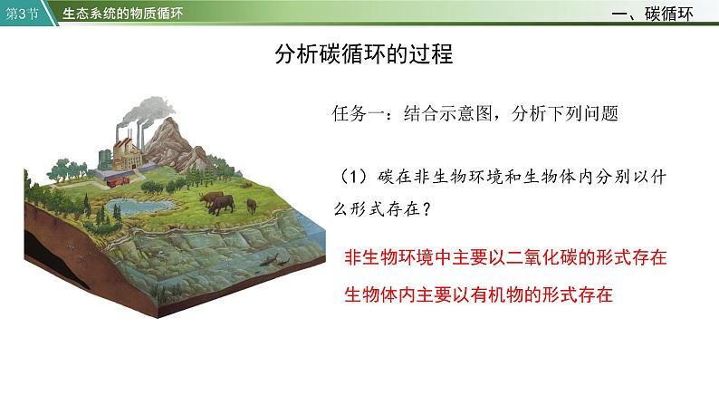 第3节 生态系统的物质循环课件PPT第7页