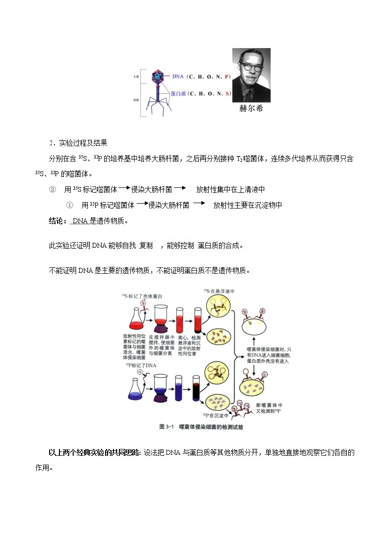 高中生物专题09 基因的本质-2021年高考生物一轮复习知识点梳理与归纳03