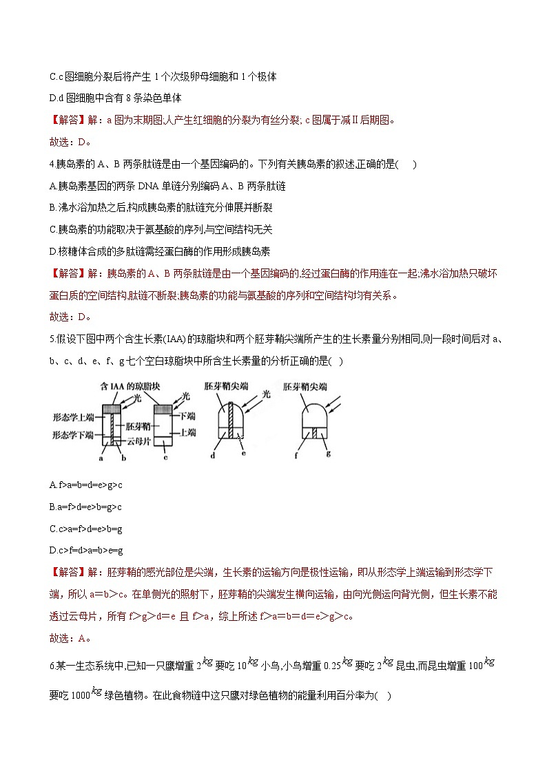 高中生物黄金卷01-【赢在高考•黄金20卷】备战2021高考生物全真模拟卷(新课标)(有答案)第2页