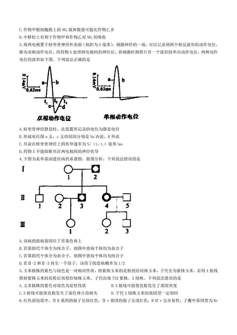 2023年山东省淄博市高三一模生物试题含答案解析第2页