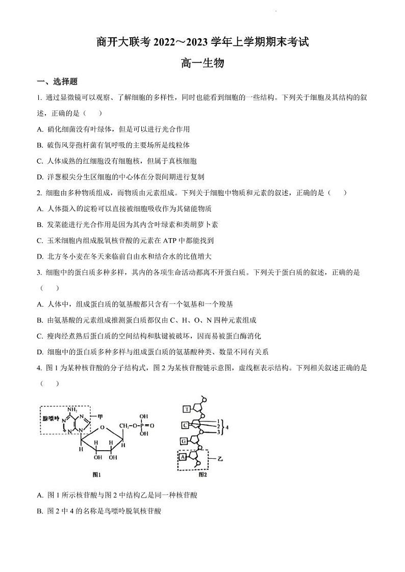 2022-2023学年河南省商开大联考高一上学期期末考试生物试题PDF版第1页