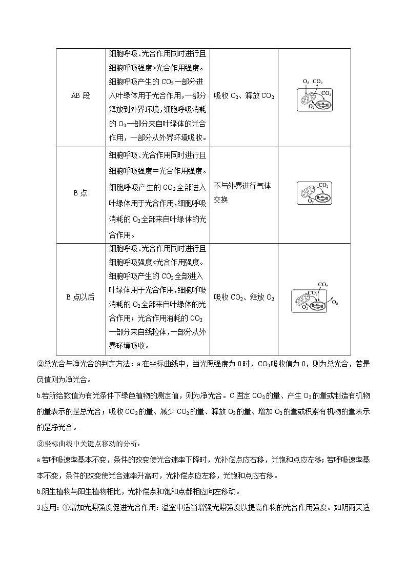5.4 光合作用和能量转化(第3课时)(教师版)-高一生物同步精品讲义(人教2019必修1)03