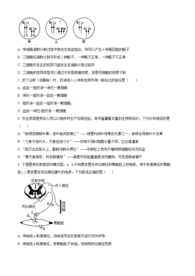 福建省南平市2022-2023学年高三下学期3月四校联考生物试题03