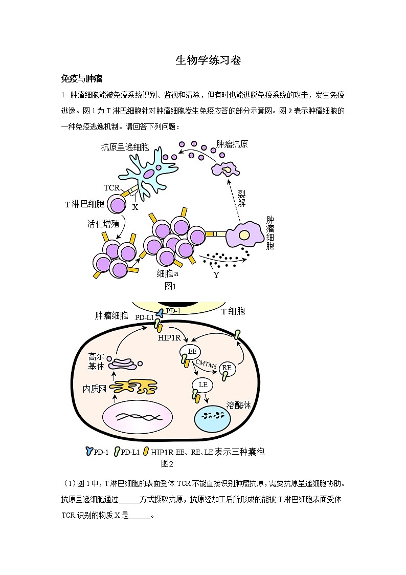 2022-2023学年上海市闵行区高三上学期一模试题(1月)生物含解析01