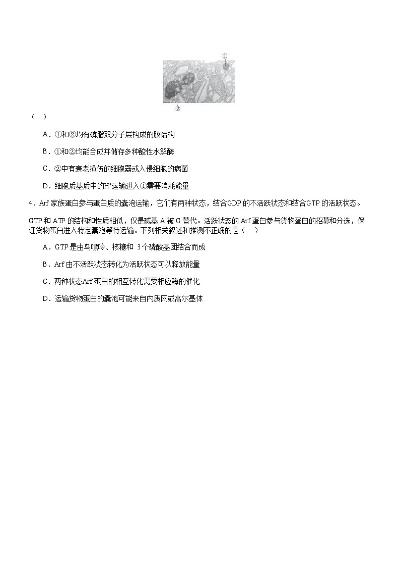 2022-2023学年重庆市育才中学高三下学期开学考试生物试题Word版含答案02