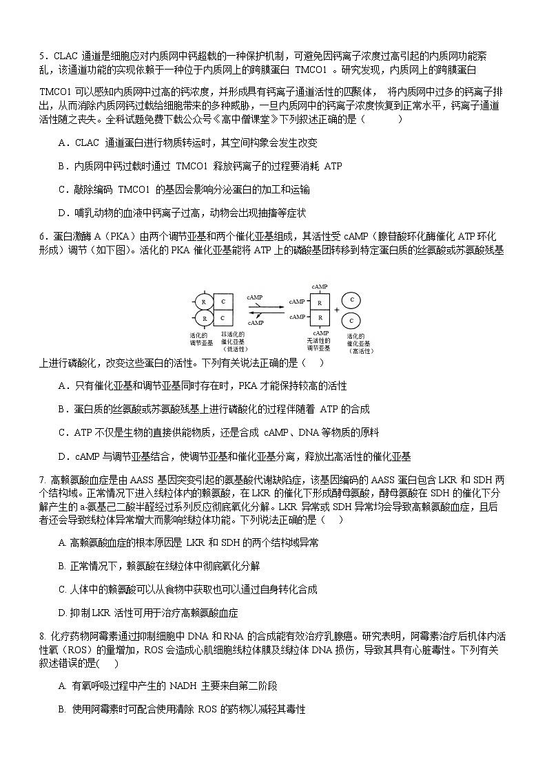 2022-2023学年重庆市育才中学高三下学期开学考试生物试题Word版含答案03