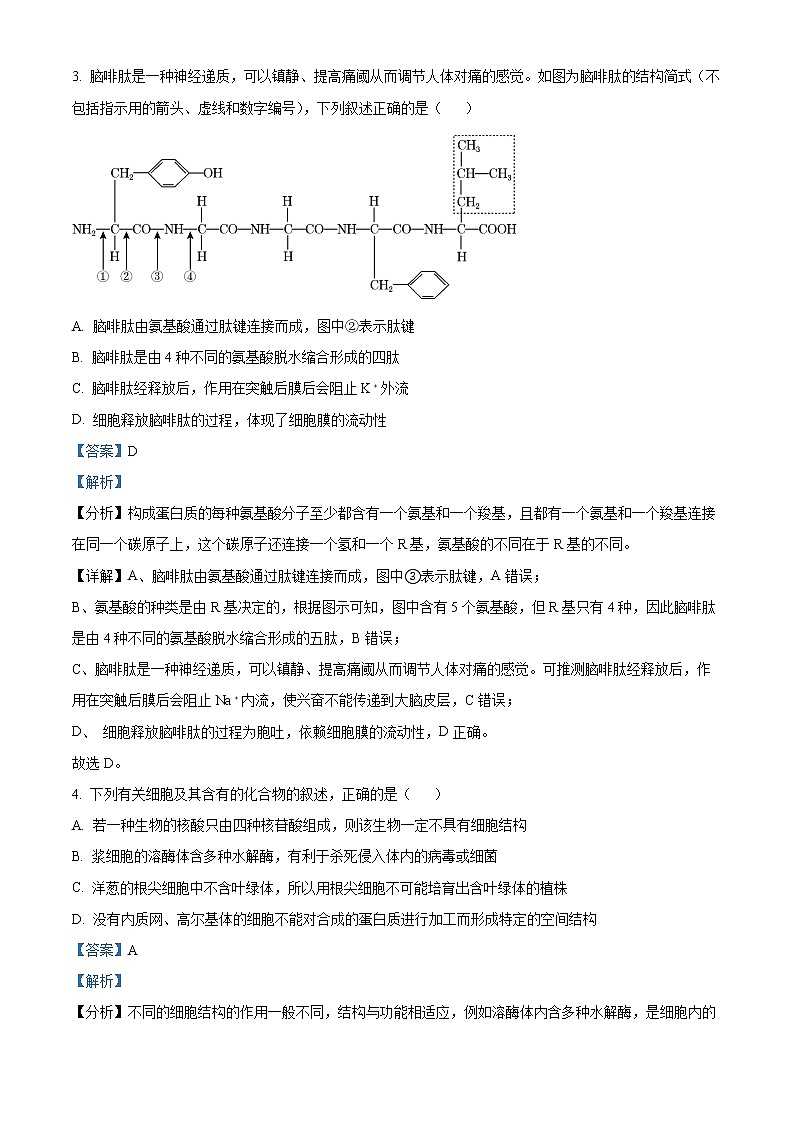 2023浙江省十校联盟高三下学期2月第三次联考试题生物含解析02