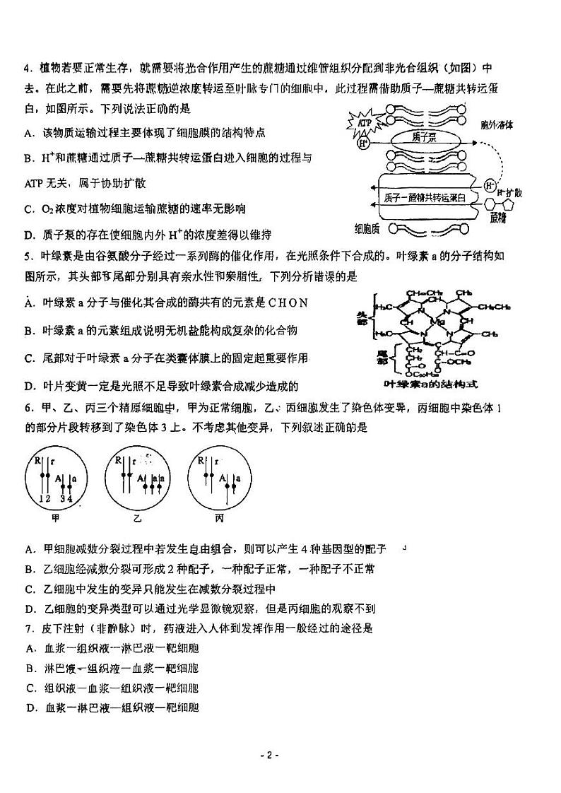 2023南平高三下学期3月四校联考试题生物PDF版无答案02