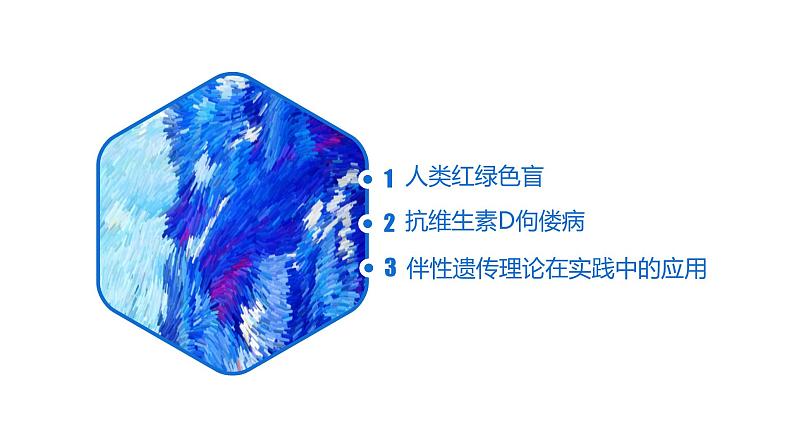 2.3 伴性遗传-【名校同步】2022-2023学年高一生物教学同步课件(人教版2019必修2)第3页