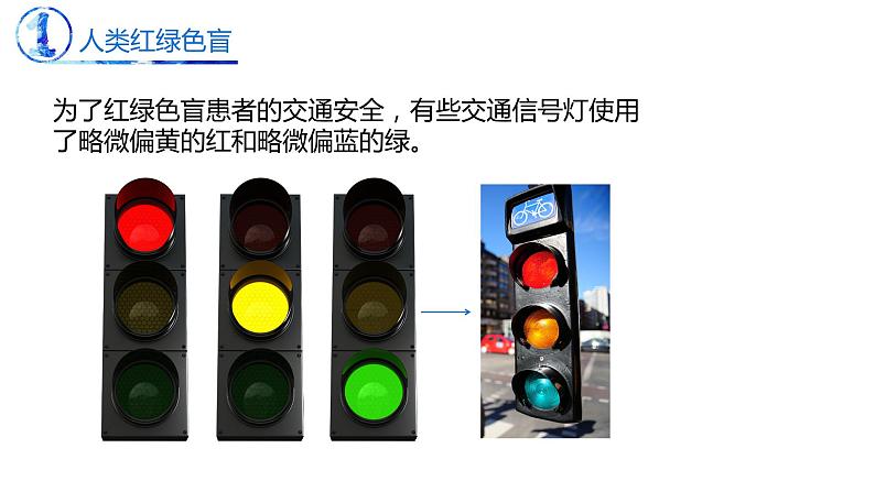 2.3 伴性遗传-【名校同步】2022-2023学年高一生物教学同步课件(人教版2019必修2)第4页