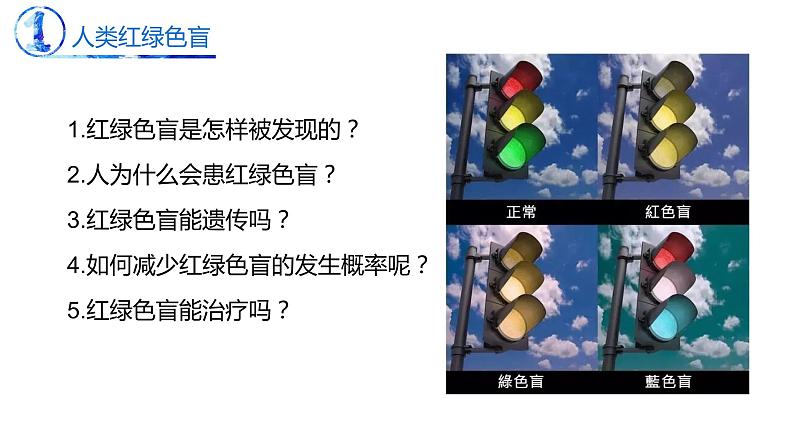 2.3 伴性遗传-【名校同步】2022-2023学年高一生物教学同步课件(人教版2019必修2)第5页