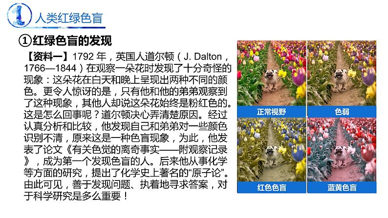 2.3 伴性遗传-【名校同步】2022-2023学年高一生物教学同步课件(人教版2019必修2)第6页