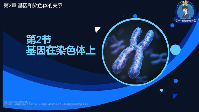 2.2 基因在染色体上-【名校同步】2022-2023学年高一生物教学同步课件(人教版2019必修2)第1页