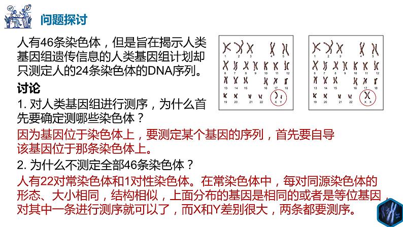 2.2 基因在染色体上-【名校同步】2022-2023学年高一生物教学同步课件(人教版2019必修2)第2页