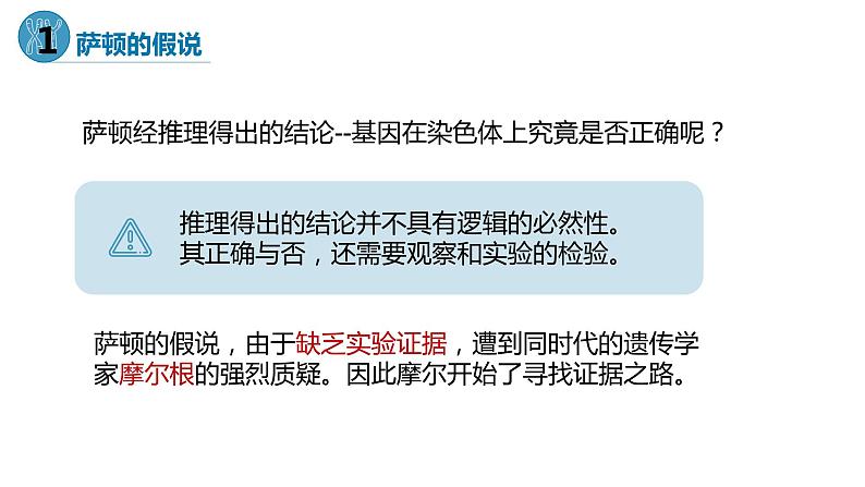 2.2 基因在染色体上-【名校同步】2022-2023学年高一生物教学同步课件(人教版2019必修2)第7页