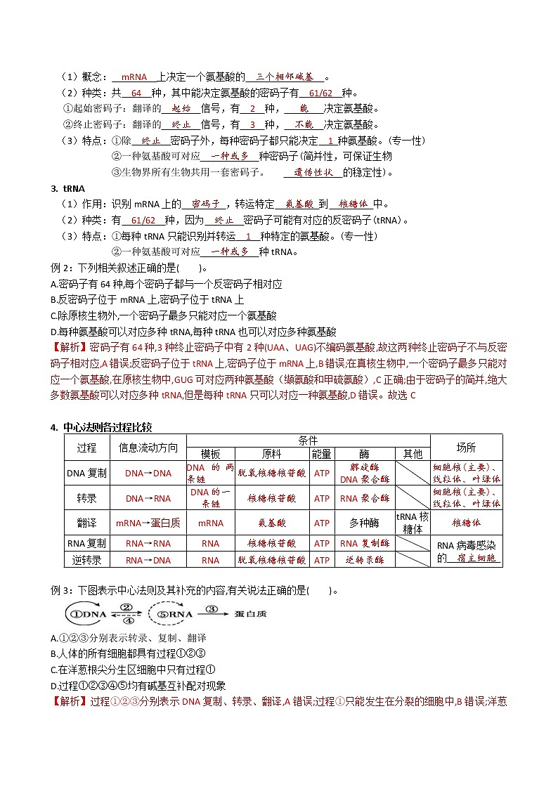 2023年高考生物必备知识大串讲专题10 基因的表达(教师版)第2页