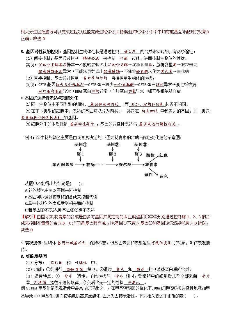 2023年高考生物必备知识大串讲专题10 基因的表达(教师版)第3页